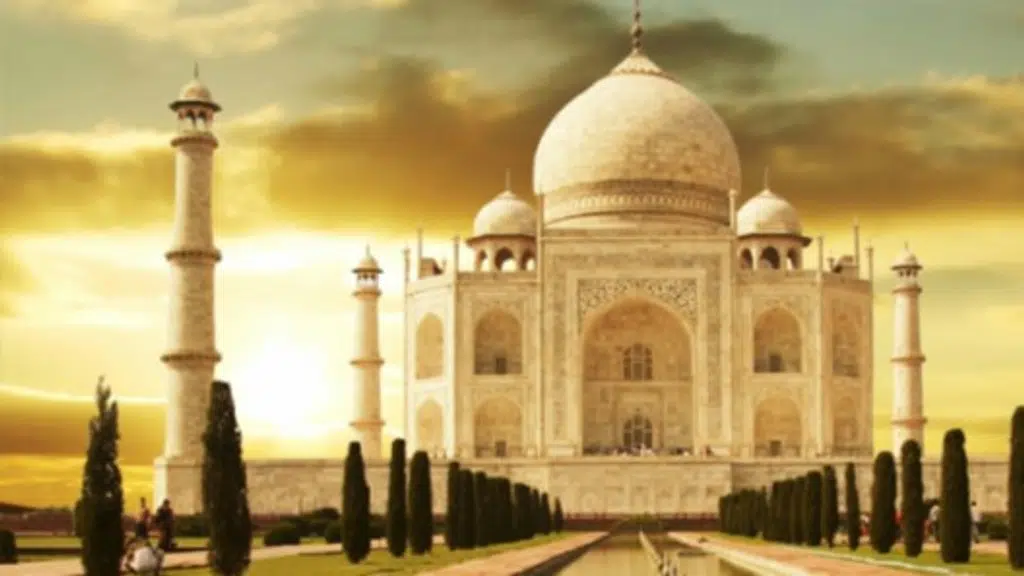 Loyal Tours and Travels