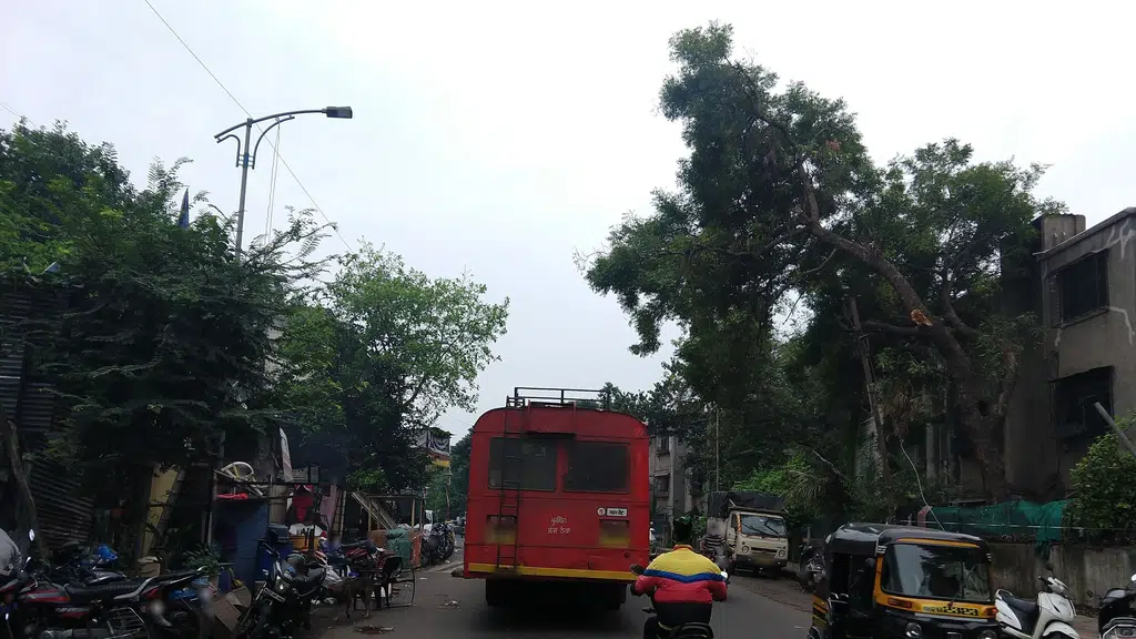 S.P.M.English School