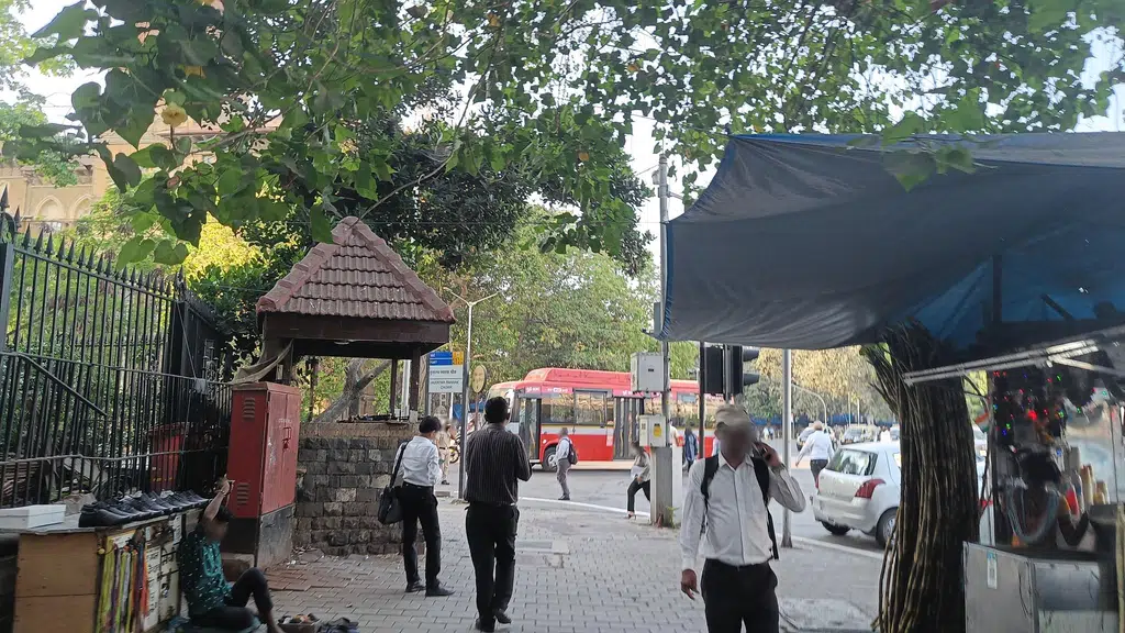 bombay high court as advocate's asst.
