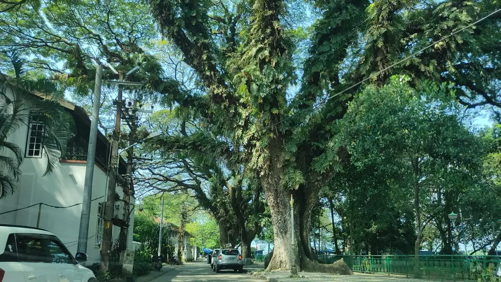 Burger Street, Fort Kochi
