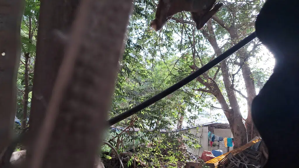 Gandhi Nagar Ganesh Kripa