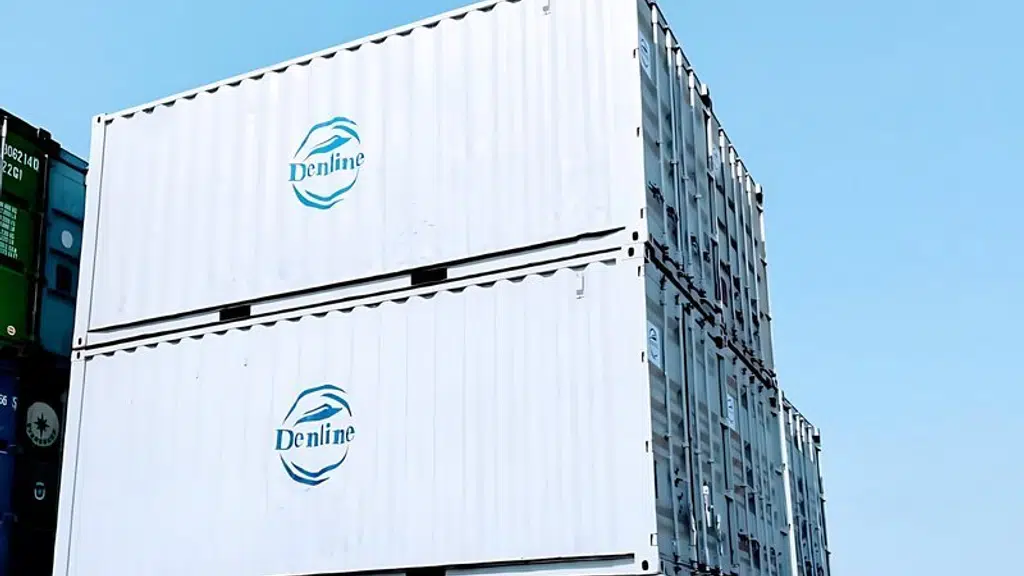 Denline Shipping Pvt Ltd