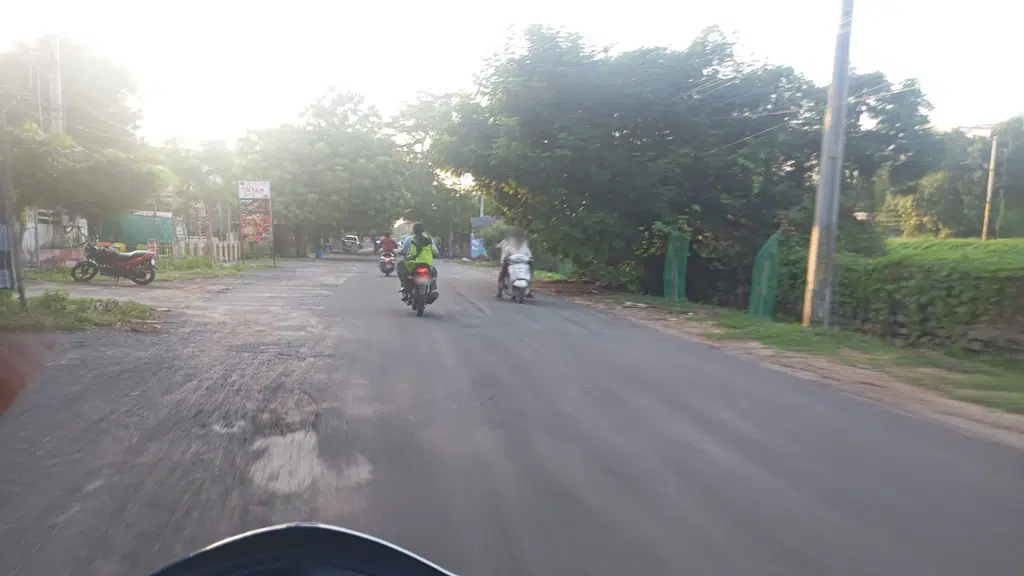 Guntur pest control