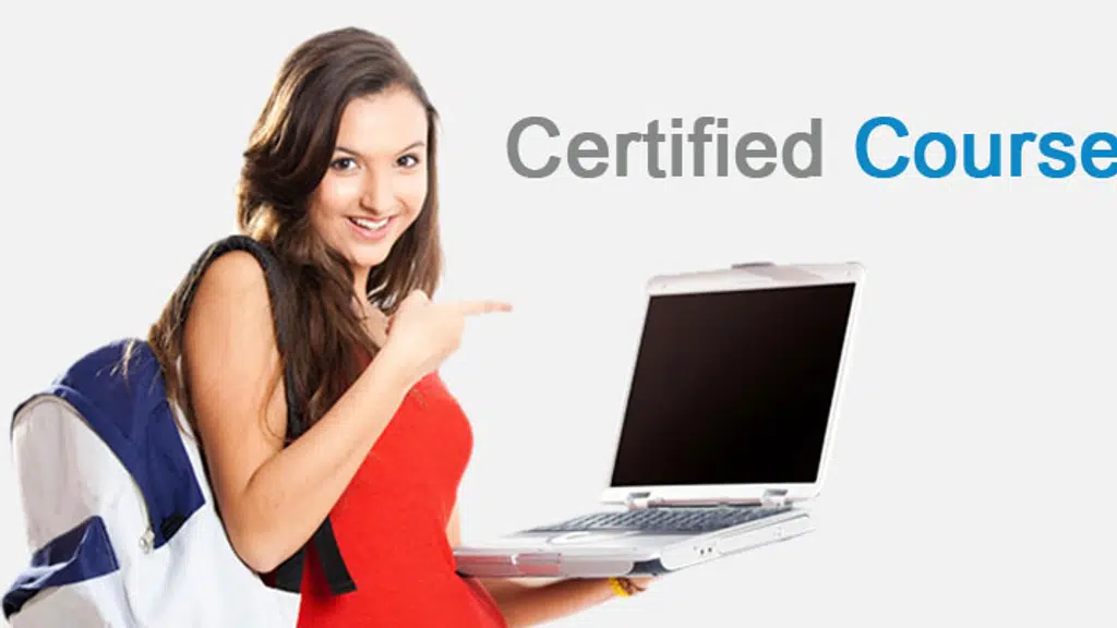 Net Galaxy Computer Classes Gurua-Gaya