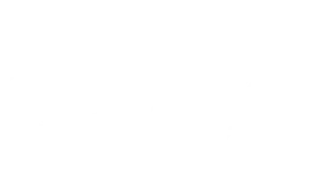 Auromira Entertainment Pvt. Ltd.