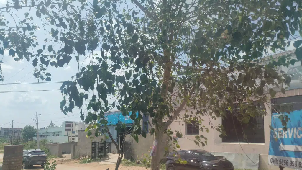 Tata Motors