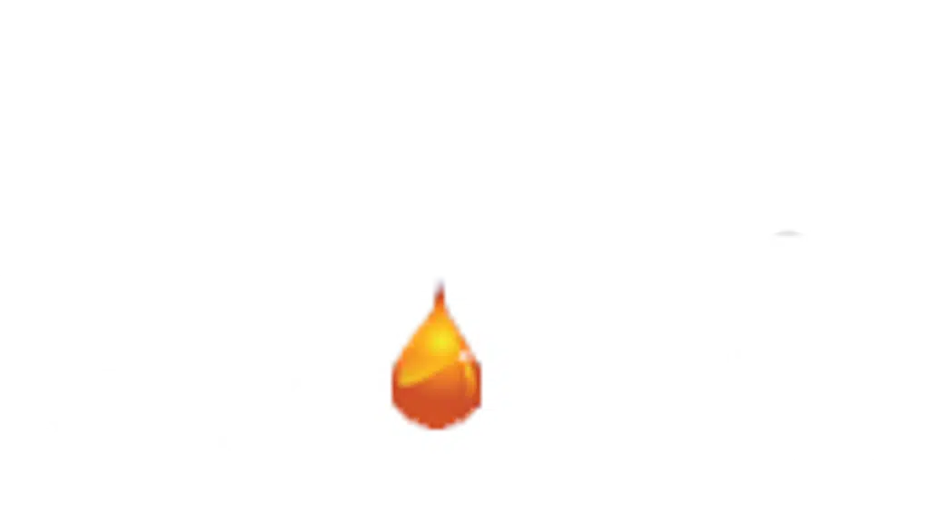Petrosoft - Petrol Pump Management Software
