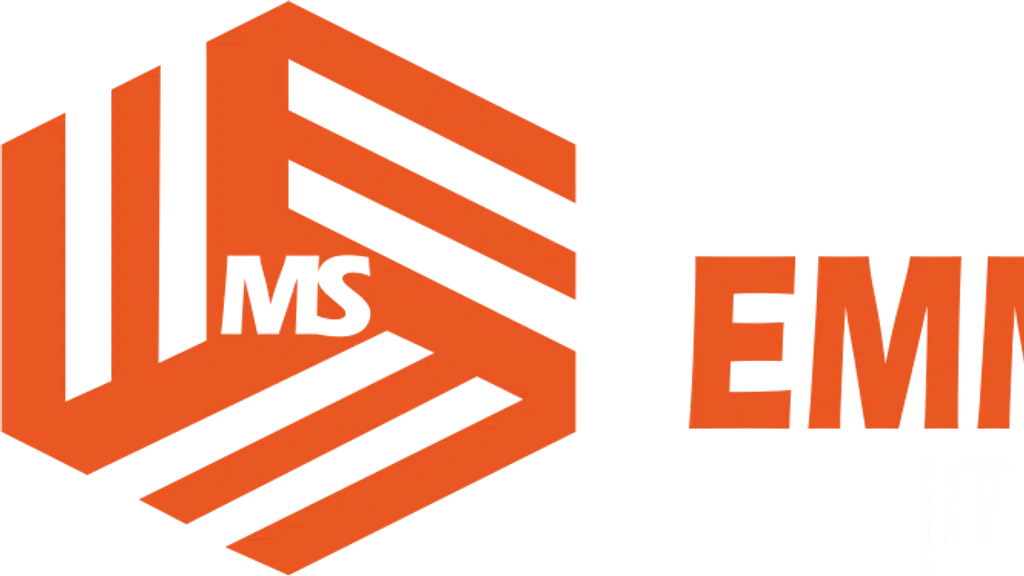 Emm Ess Enterprises
