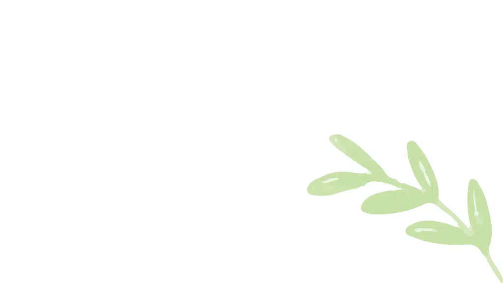 Kriv Foods
