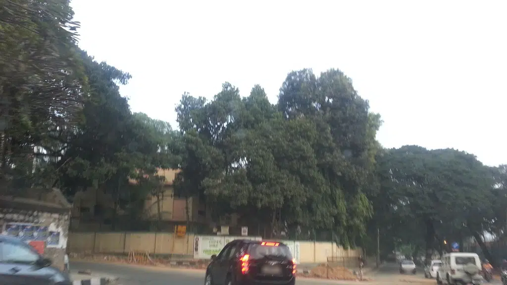 Punjab National Bank