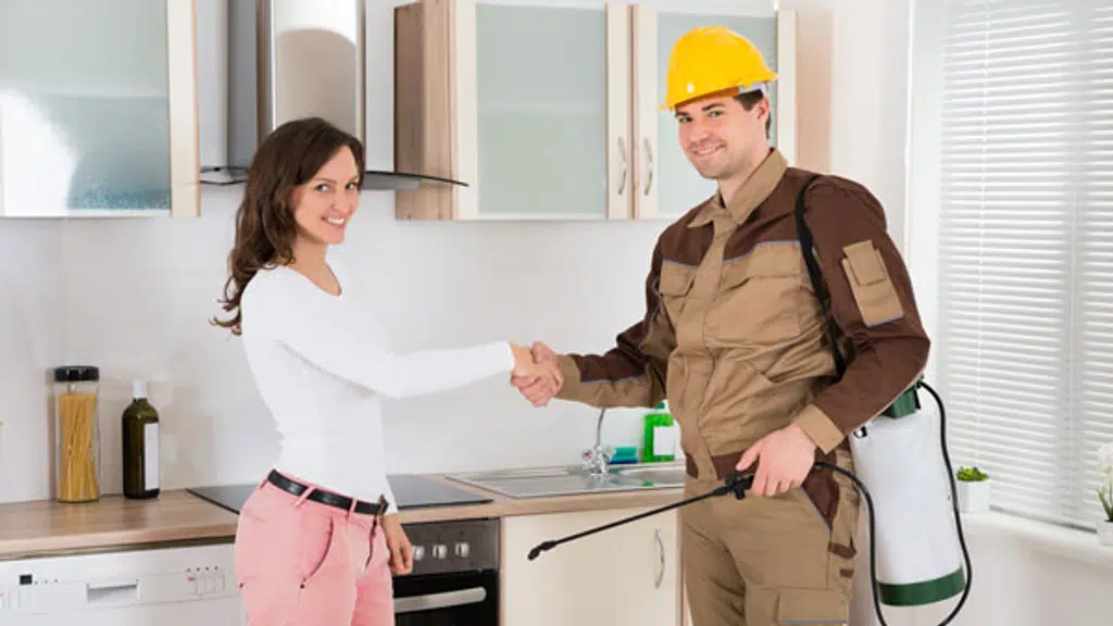 Rentokil PCI Pest Control Service
