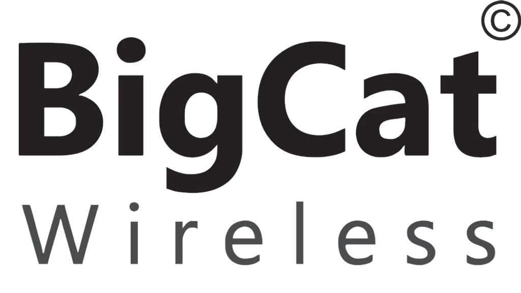 BigCat Wireless Private Limited