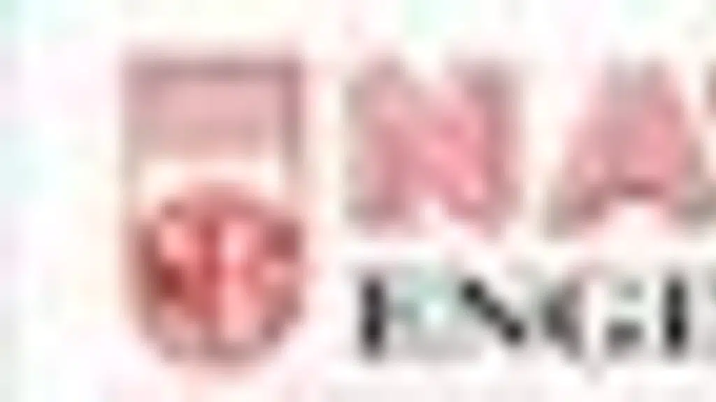 National Xeroxes
