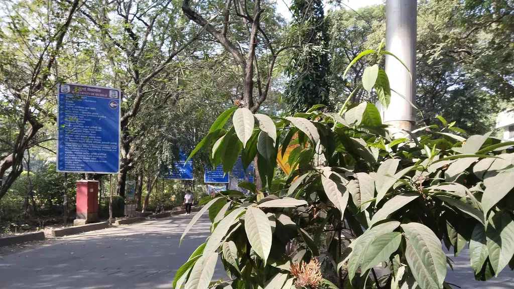 Jai Bhavani Tea Stall