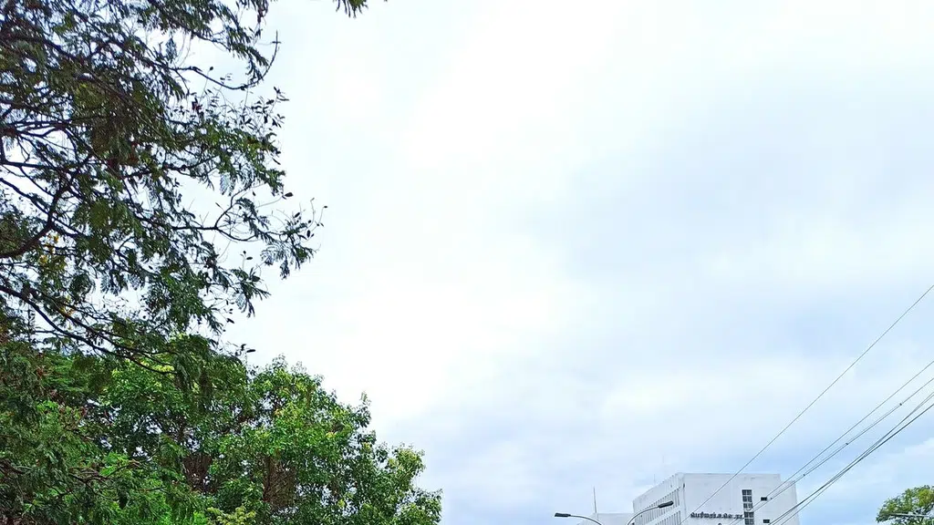 AUTORELLI NISSAN (Showroom)