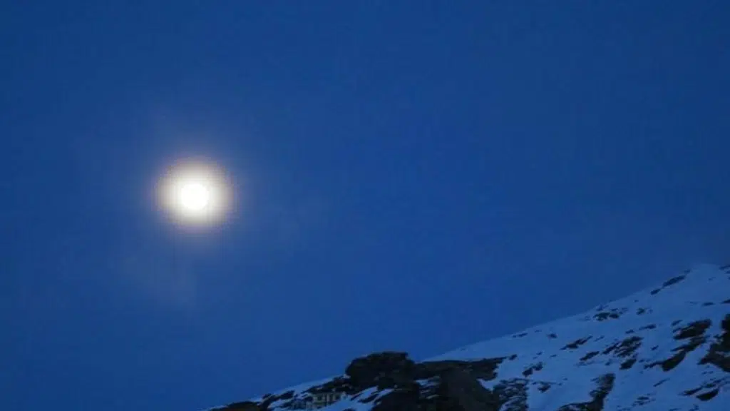 Chopta WildLife Camps & Resort