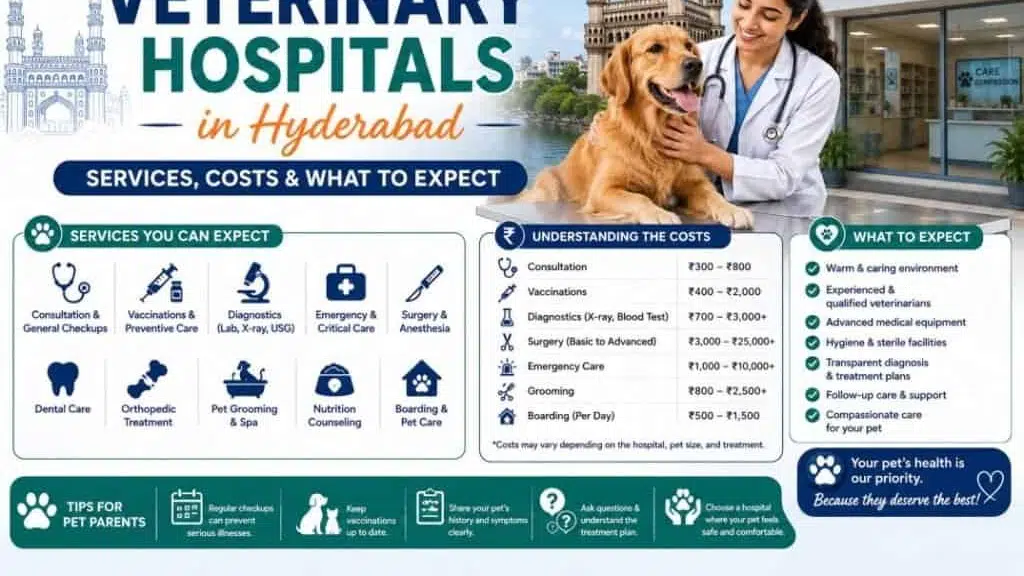 Mr.Vet Animal Hospital