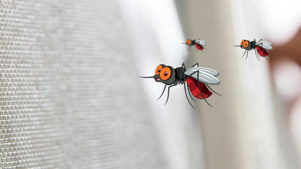 VFirst Marketing - Mosquito Net Doors and Windows | High Quality | Netlon Insects Screen