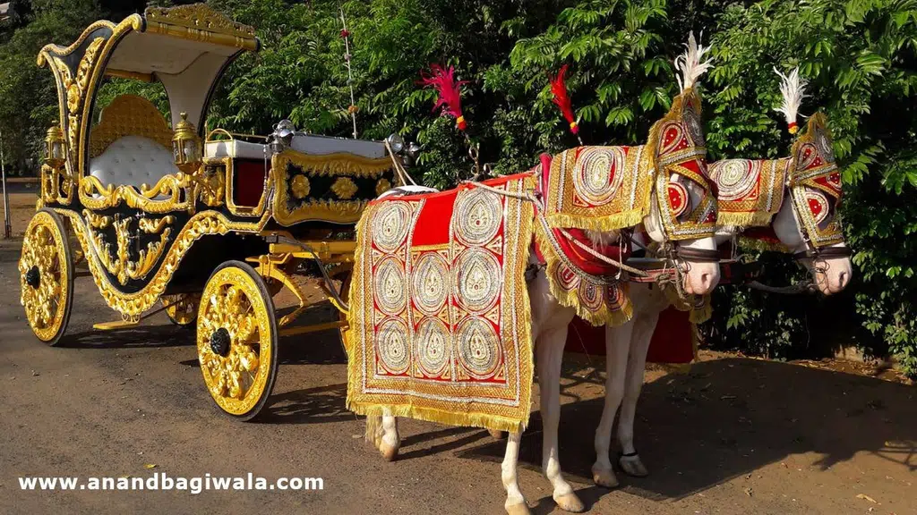 Malataj Bagiwala