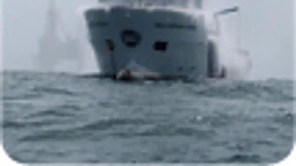 Zebec Marine Consultants and Services