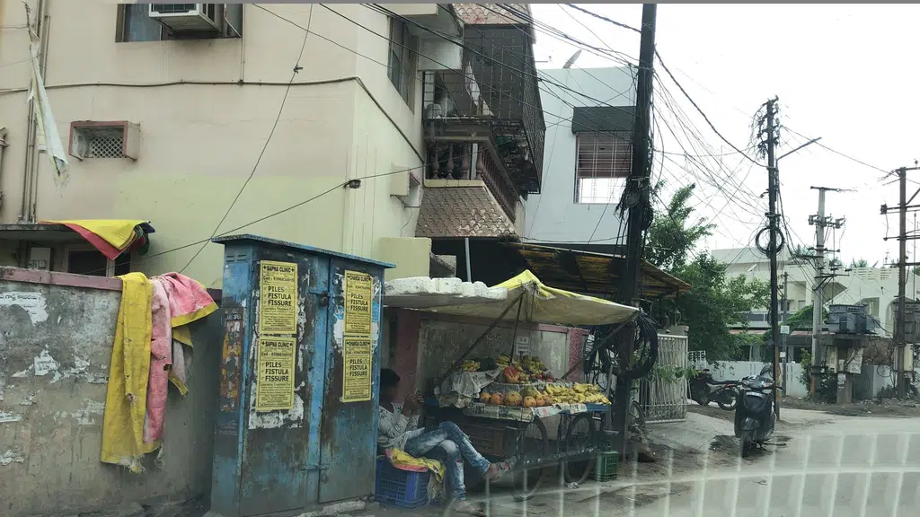Punarnava Natural and Organic Store