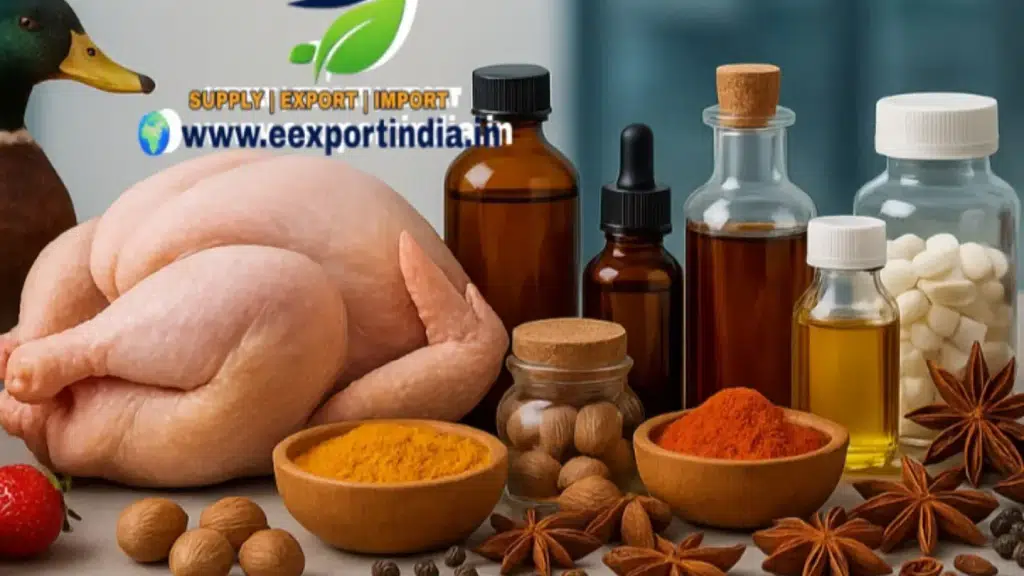 E-Export India