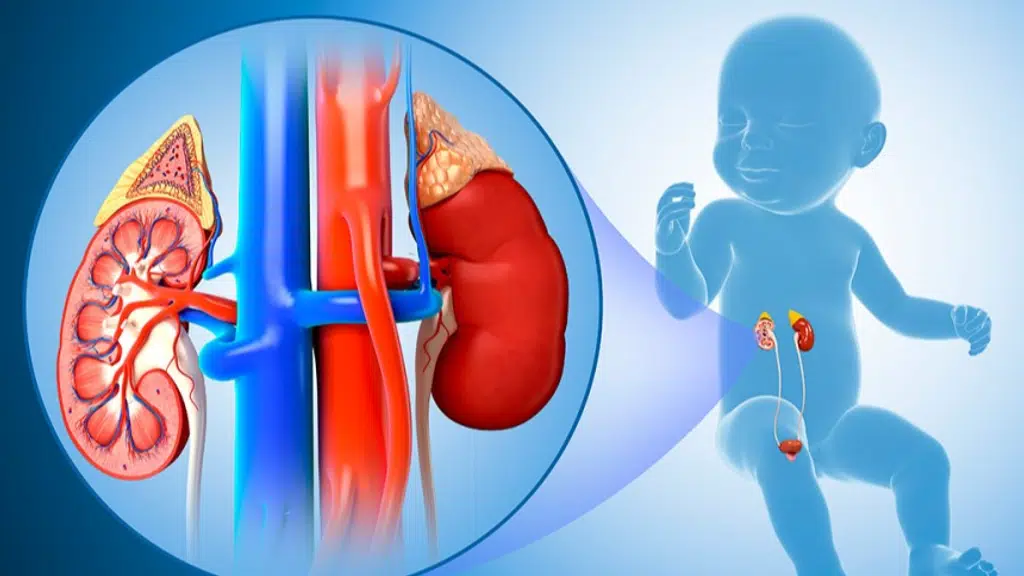 Dr. Anup Gulati - Best Urologist  | Fortis Hospitals