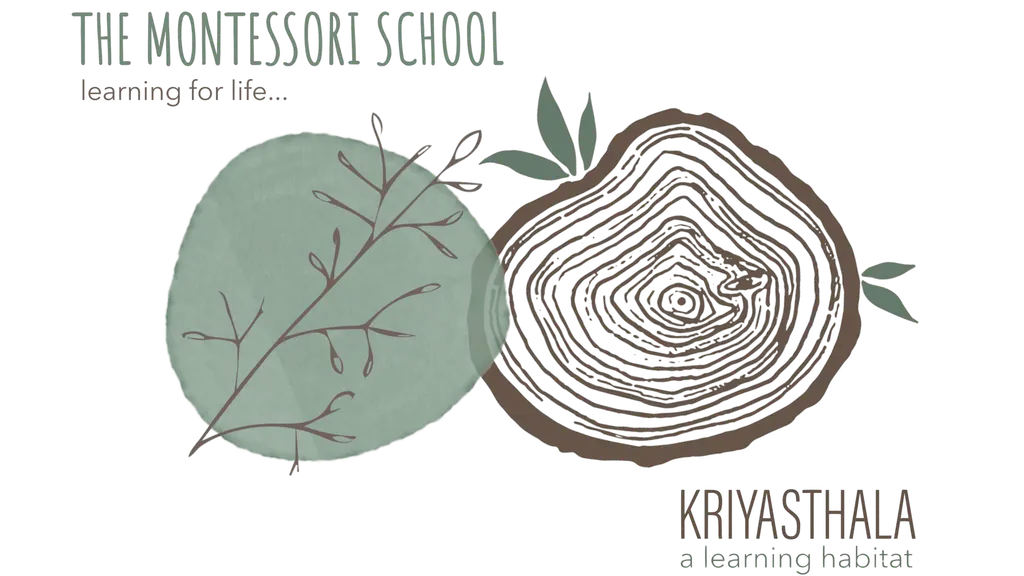The Montessori School