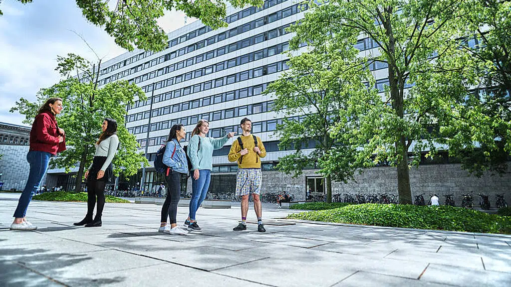 Career Talks Germany Consultancy