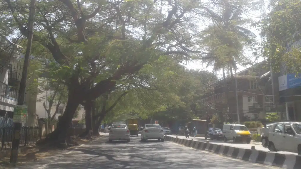 Shree Dharmanath Jain Seva-Sangeet Mandal - Jayanagar Bangalore