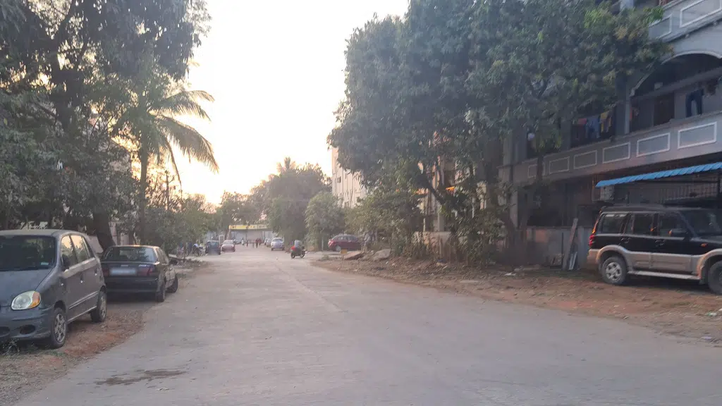 Professor Jaya Shankar Statue