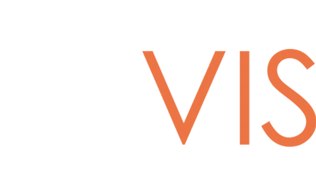 The Vissi | Digital Marketing Agency