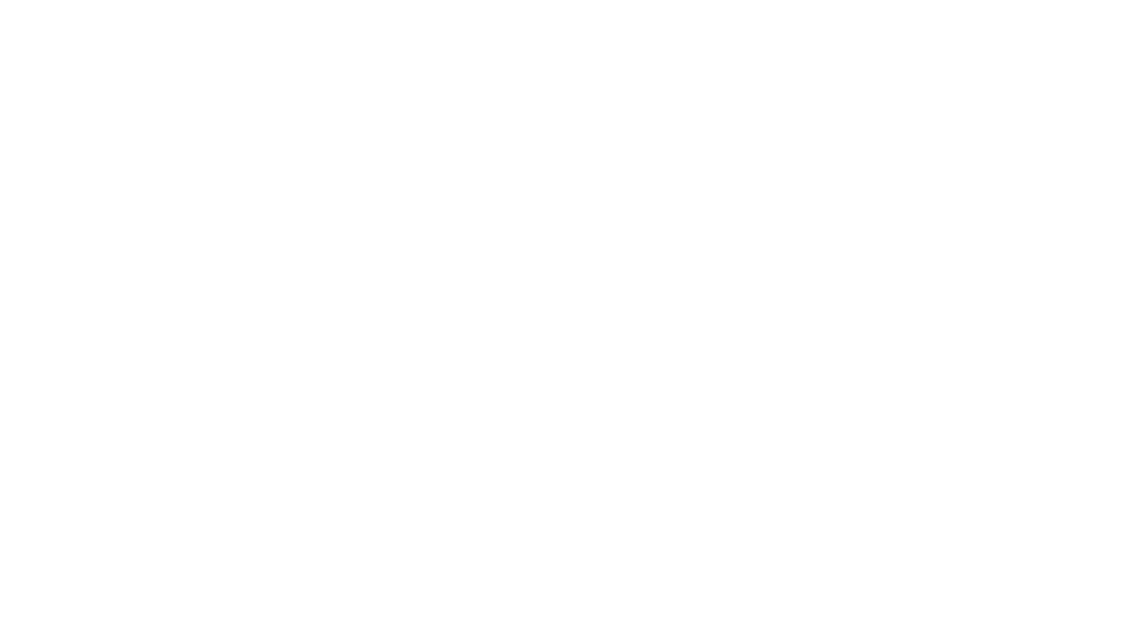 The Immigration Gurus