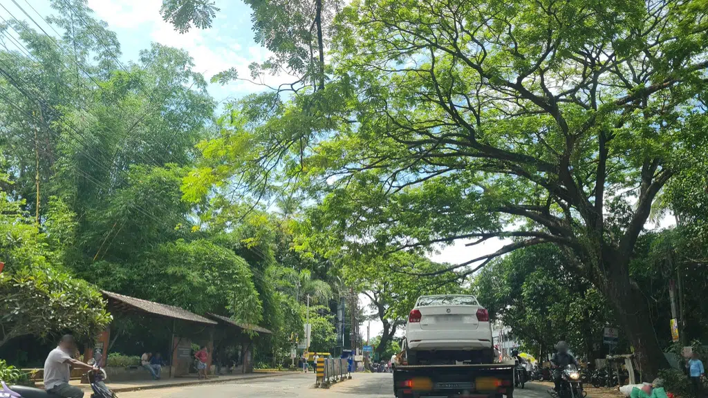 NEXA (AM Motors, Kozhikode, Puthiyangadi)
