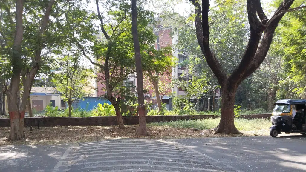 University Department of Information Technology