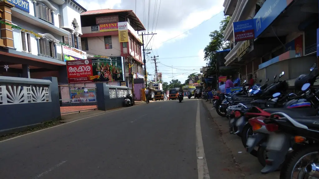 Irinjalakuda Mini Fish Market