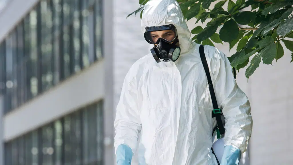 Pest Control in Parrys 24X7