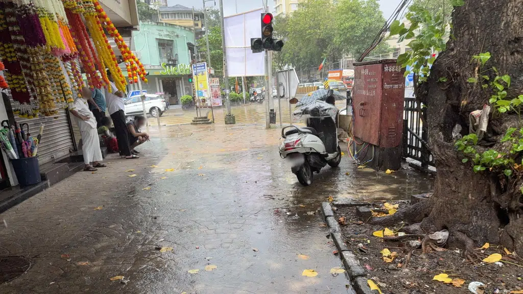 City Light Matunga