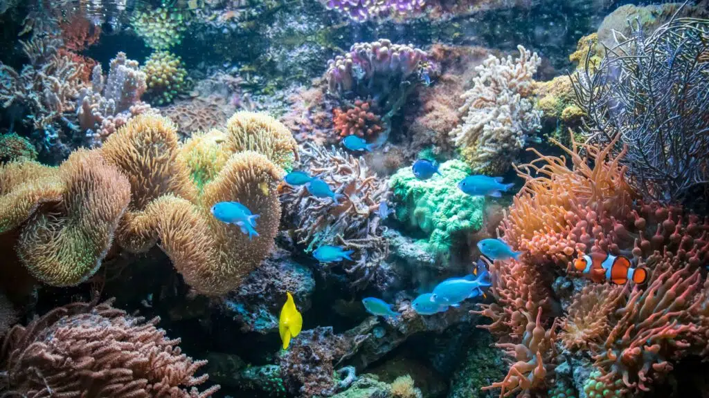 Marine Aquarium Chennai