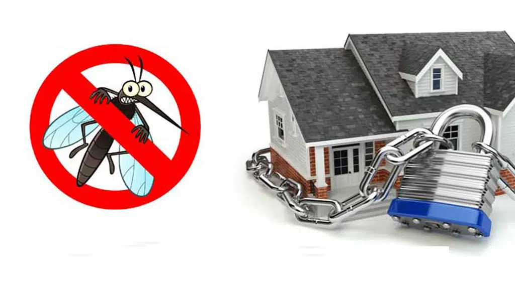 Urban Pest Care