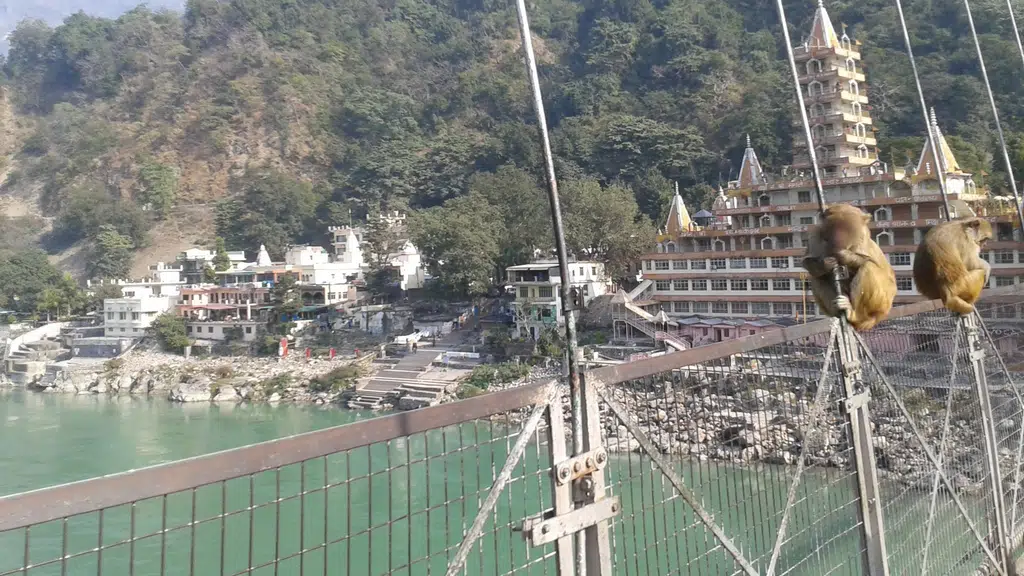 Shiva Shakti Yoga - Rishikesh (Yoga Teacher Training School)