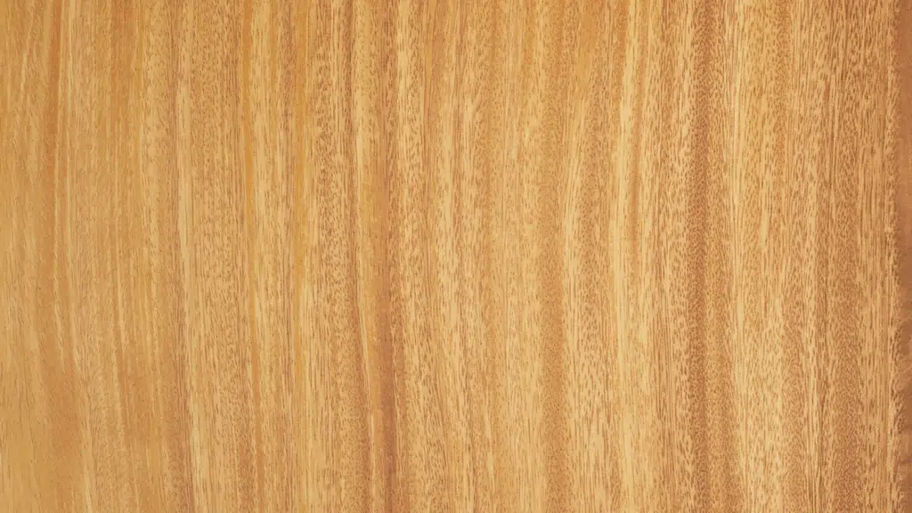 Baveja Plywood House