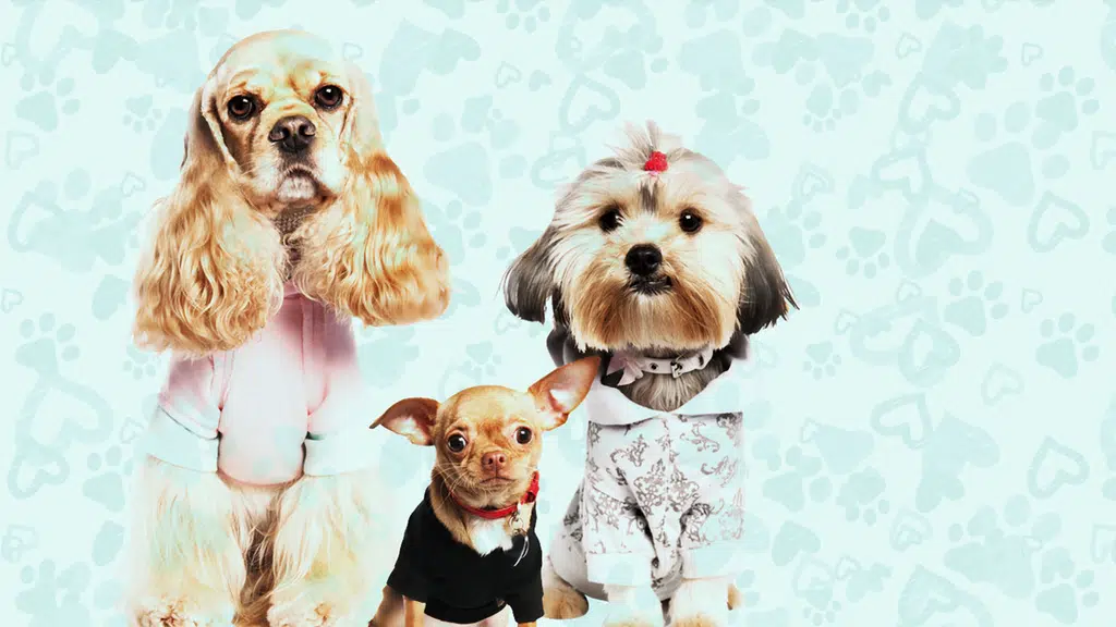 Dr. Gorhe Pet Cover Clinic