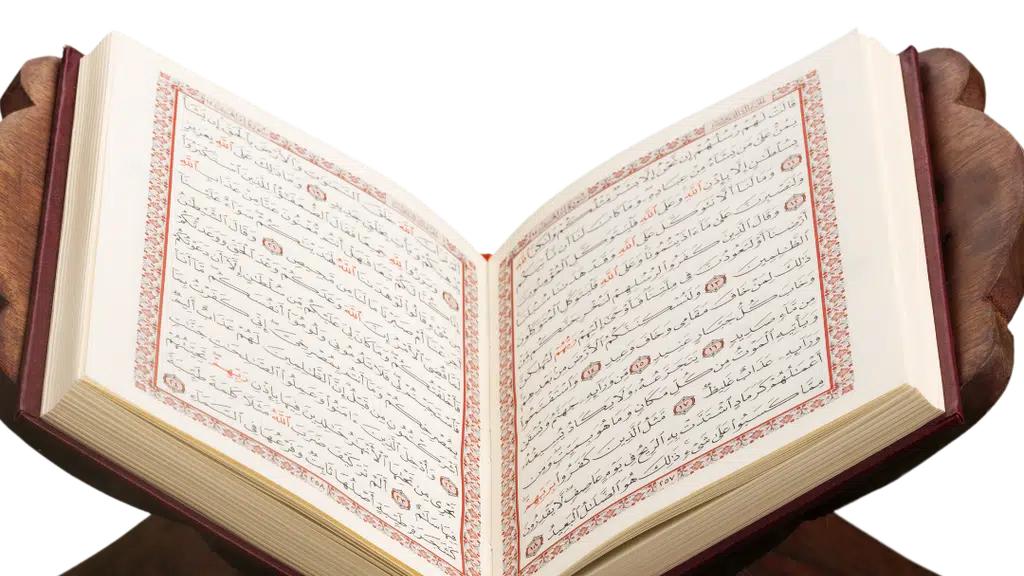 Safri Mahmood Hajj and Umrah Services
