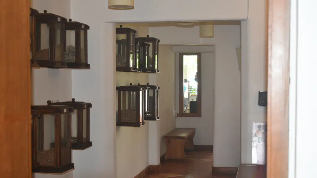 Punarjani Ayurveda Bangalore