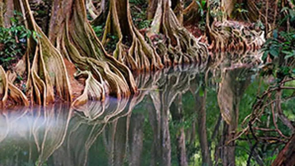 Dominica Ministry of Tourism