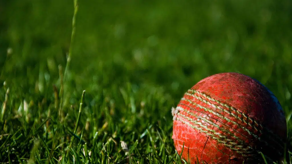 Shot Cricket Bats