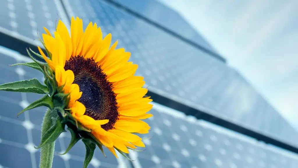 Powerxp Consultants Pvt. Ltd.