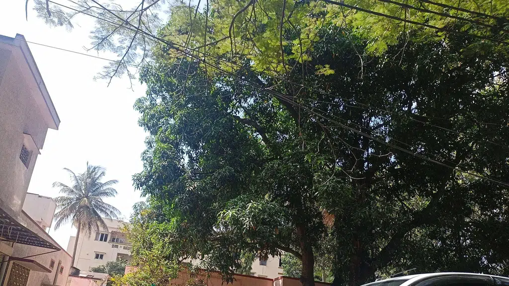 Rajathadri Food Fort