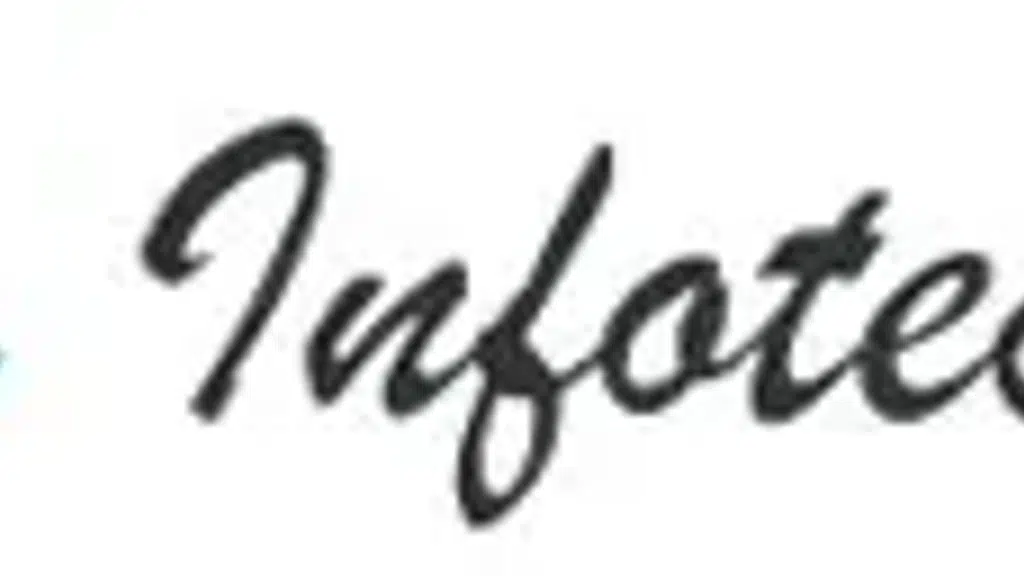Misha Infotech Private Limited